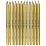 Färgpennor ABA Skol Jolly x-Big 12 st