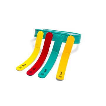 Spel ABA Skol Fånga och greppa svansar