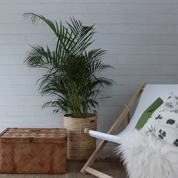 Väggpanel Huntonit Rustik