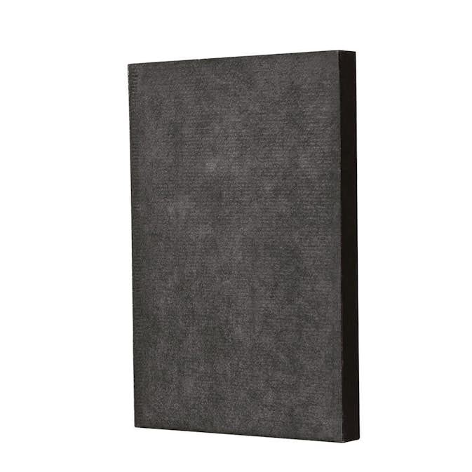 Filter Bissell För Air 220 High Efficiency & Pre-filter
