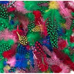 Fjädrar ABA Skol Pärlhönsfjädrar 100 st