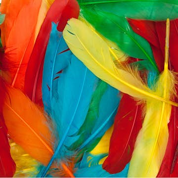 Fjädrar ABA Skol Kalkonfjädrar 60 st Blandade Färger