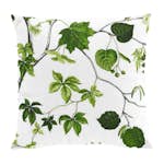 Kuddfodral Arvidssons Textil Liv Grön