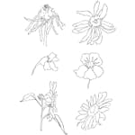 Stämplar Creativ Company Clear Sommar