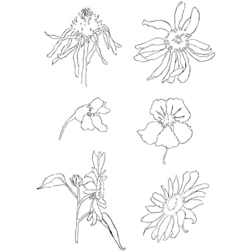 Stämplar Creativ Company Clear Sommar