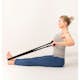 Mini Gym Swedish Posture