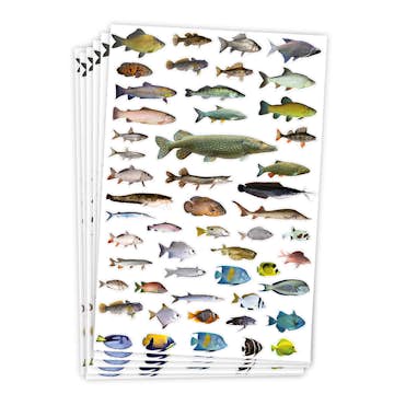 Stickers ABA Skol Fiskar 300 st