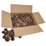 Tallkottar ABA Skol 125 st