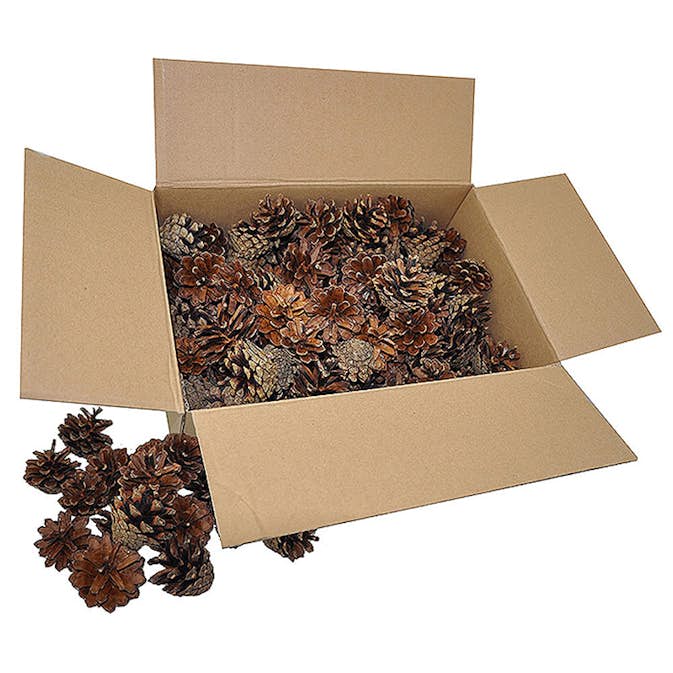 Tallkottar ABA Skol 125 st