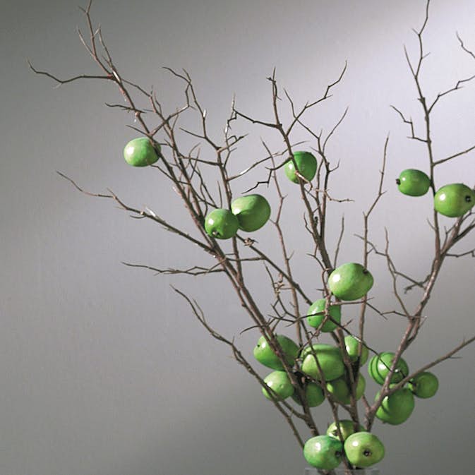 Glasbyte Swedoor Sido-/Överljus