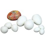 Vaddägg ABA Skol Vita 55x80 mm 10 st