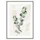 Poster Gallerix Eucalyptus Watercolor