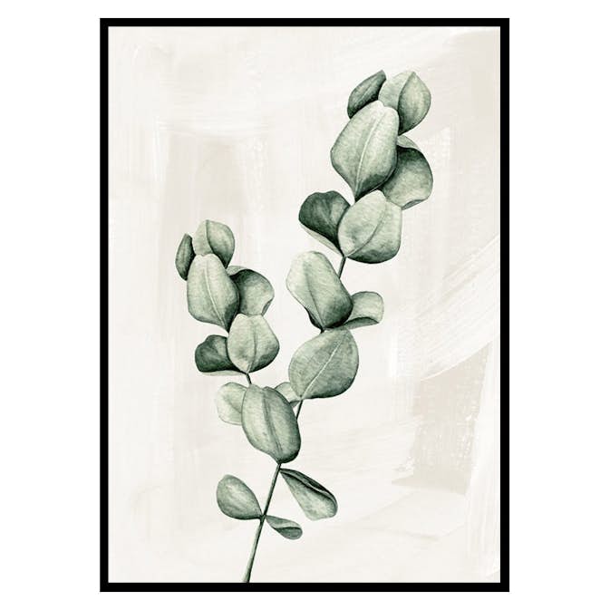 Poster Gallerix Eucalyptus Watercolor