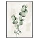 Poster Gallerix Eucalyptus Watercolor
