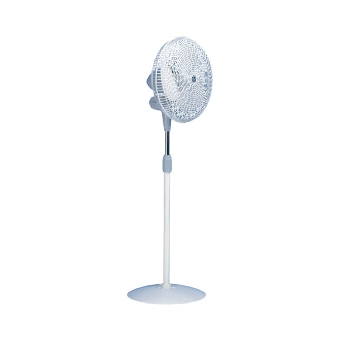 Golvfläkt Thermex Gordon C40