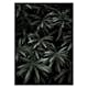 Poster Gallerix Dark Green No1