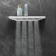 Axeldusch Hansgrohe Rainfinity 500 1jet med Hylla