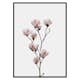 Poster Gallerix Magnolia Flower