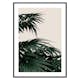 Poster Gallerix Palm Leaves Natural