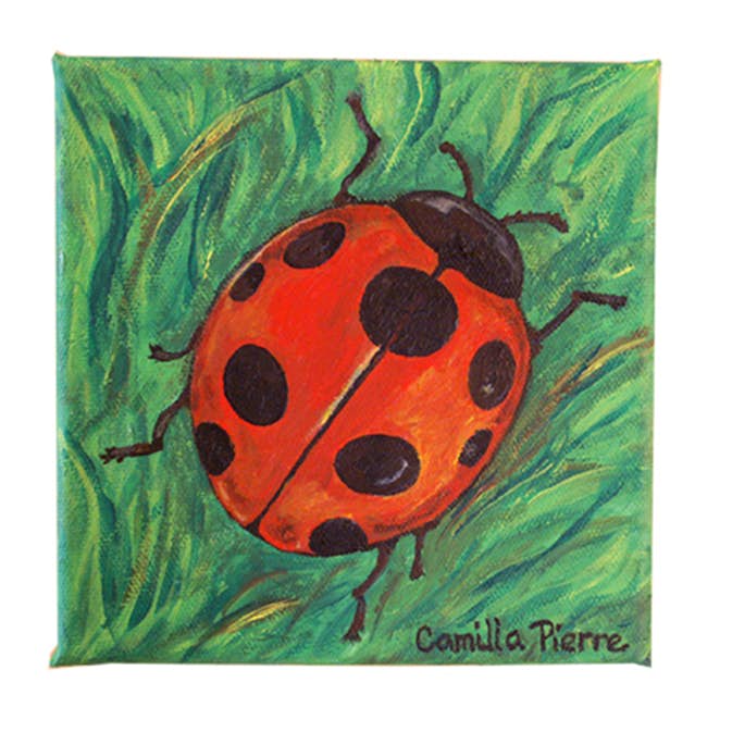 Målarduk ABA Skol 10x10 cm. Djup 11 mm