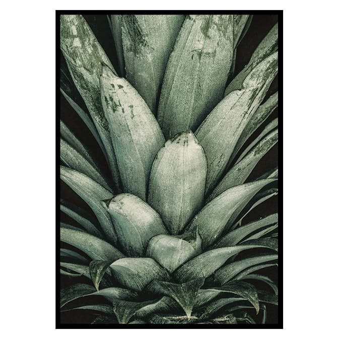 Poster Gallerix Pineapple Close