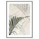 Poster Gallerix Abstract Palm Leaves No2