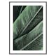 Poster Gallerix Banana Leaves No1