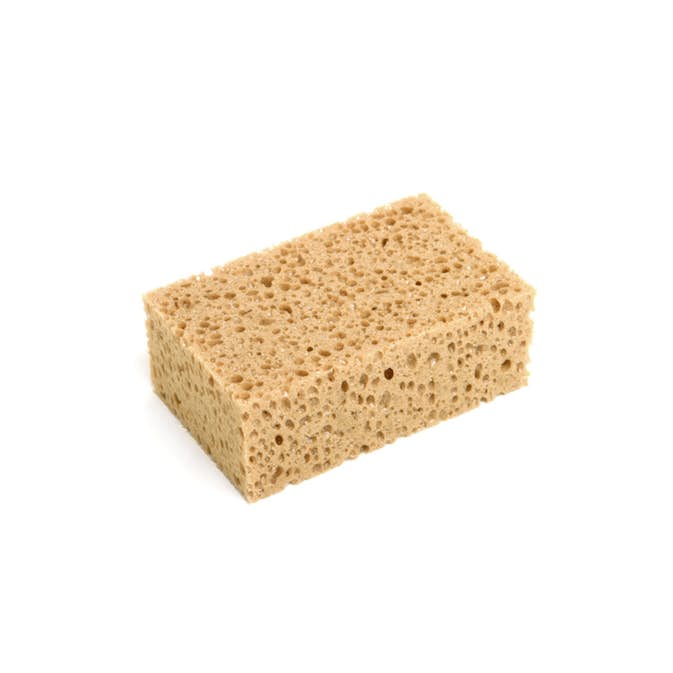 Proffssvamp Tebo Grovporig