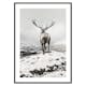 Poster Gallerix Winter Roe Deer