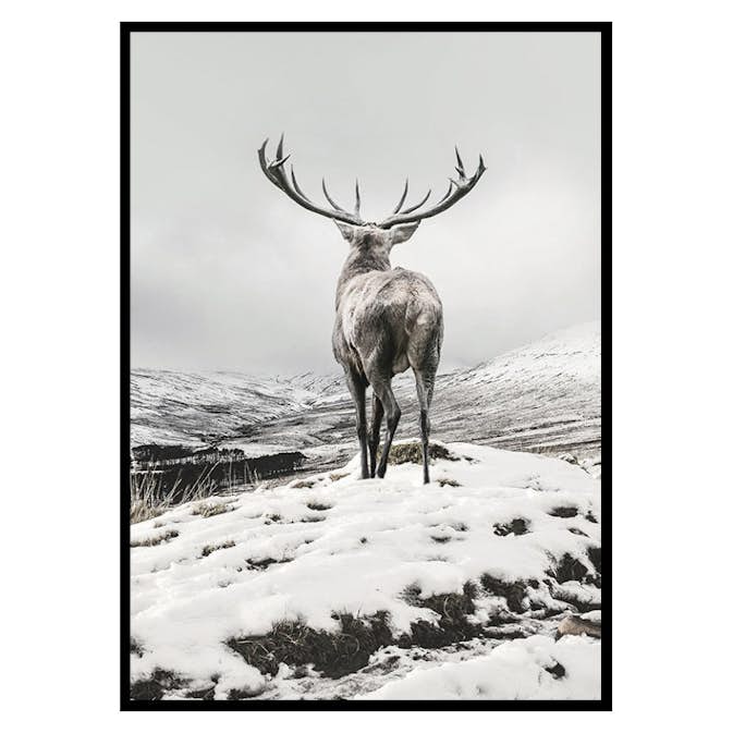 Poster Gallerix Winter Roe Deer
