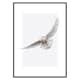 Poster Gallerix White Owl
