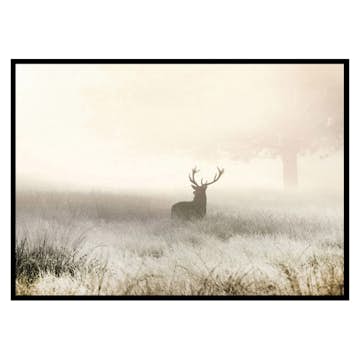 Poster Gallerix Deer In Mist