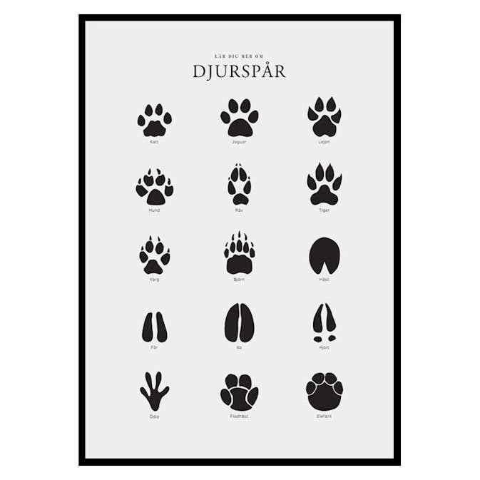 Poster Gallerix Djurspår