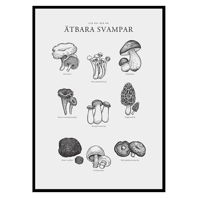 Poster Gallerix Ätbara Svampar