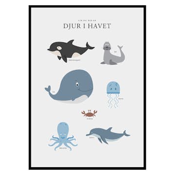 Poster Gallerix Djur I Havet