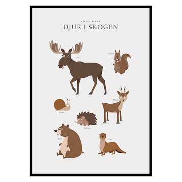 Poster Gallerix Djur I Skogen