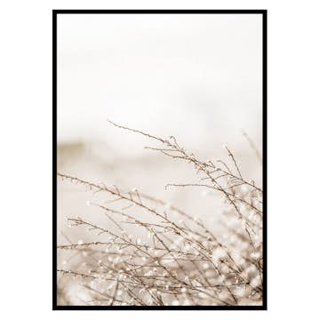 Poster Gallerix Branches