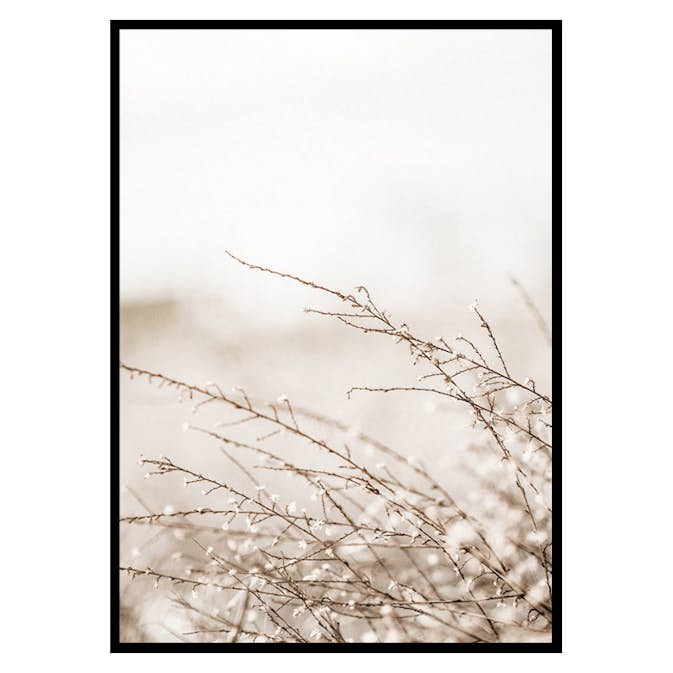 Poster Gallerix Branches