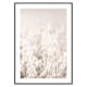 Poster Gallerix Oats