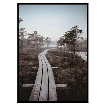 Poster Gallerix Riga Swamp