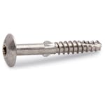 Fasadskruv FAST A2 5,0x36 mm