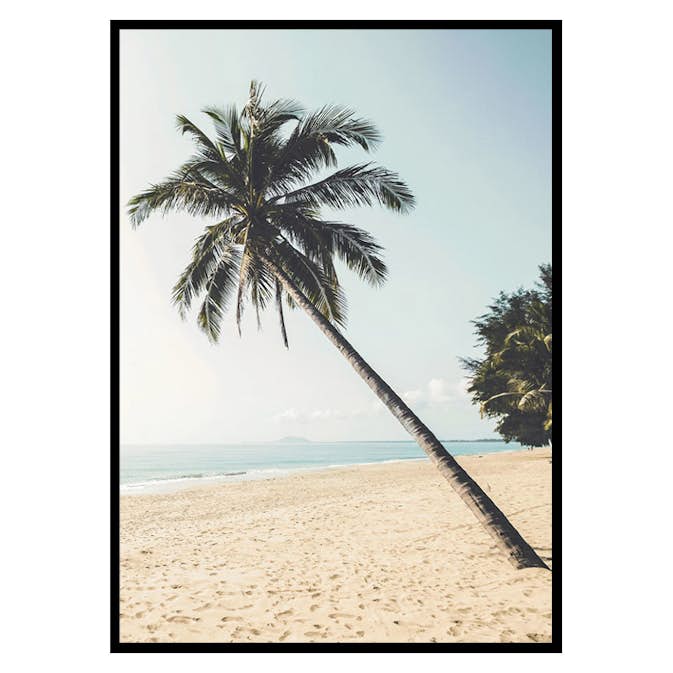 Poster Gallerix Leaning Palm