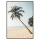 Poster Gallerix Leaning Palm