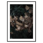 Poster Gallerix Fir Needle No2