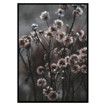 Poster Gallerix Forest Flowers