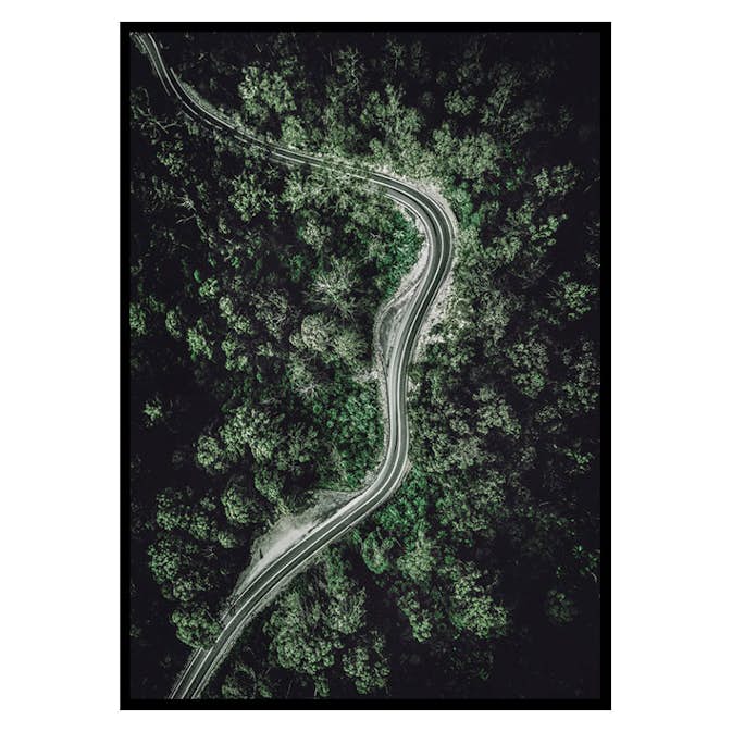 Poster Gallerix Forest Road