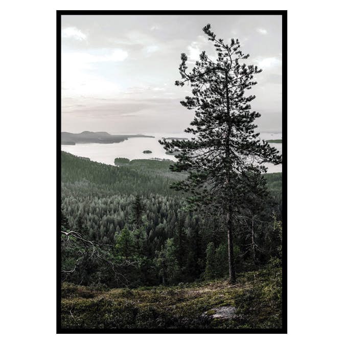 Poster Gallerix Lieksa