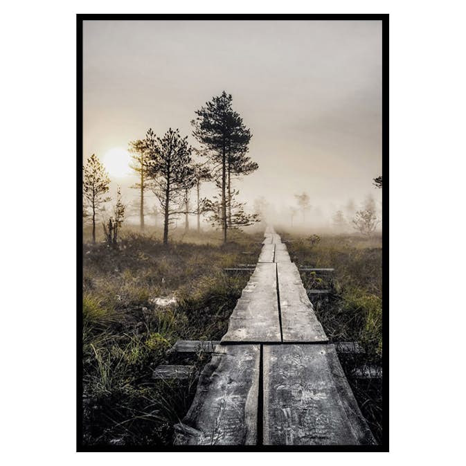 Poster Gallerix Torronsuo Wilderness