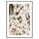 Poster Gallerix Dried Plant No4