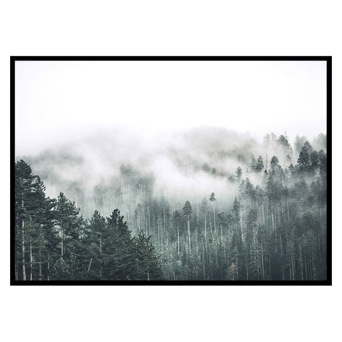 Poster Gallerix Forest Valley